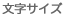 文字サイズ