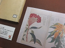 資料展示「絵で見る美しい植物」で紹介している『本草図譜』の画像です