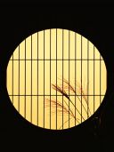 夏が終わり、図書館は静かです（No.308:2017年9月5日）