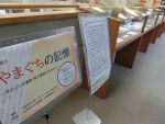 資料展示「やまぐちの記憶～県立山口図書館・県文書館の歩みから～」の展示写真です。