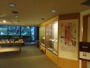 ふるさと山口文学ギャラリー企画展「林芙美子の世界～没後70年記念～」の展示の様子です。